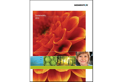Momentive Releases Sustainability Report