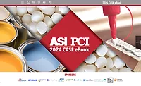 PCI/ASI case ebook