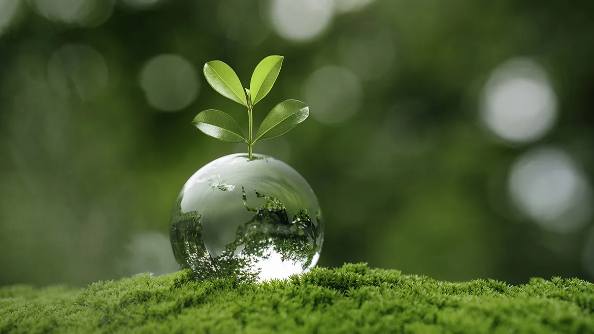 Young plant growing from a glass globe on green moss.