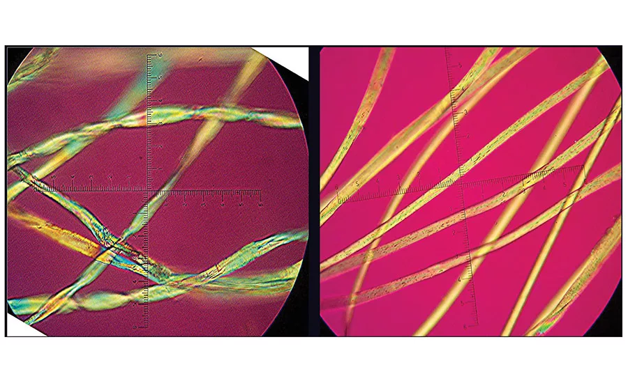 cotton vs polyester filaments