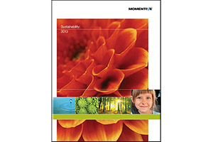 Momentive Releases Sustainability Report
