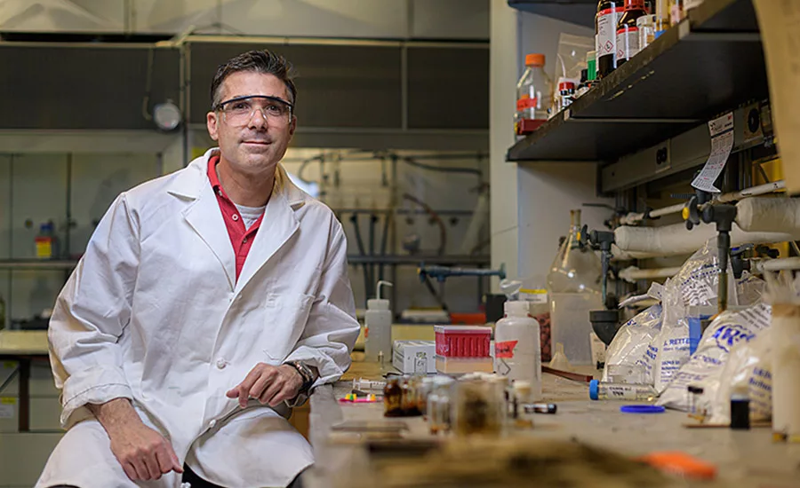 Purdue adhesive development wilker