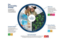 Infographic of the Pilot chemical sustainability strategy