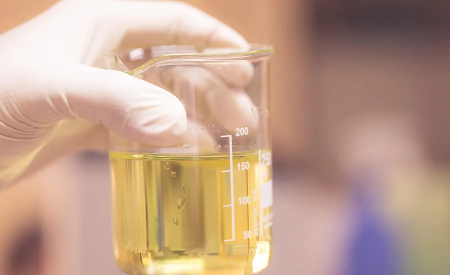 Image of a gloved hand holding a beaker. 