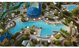 image of lavish hotel swimming pool and palm trees