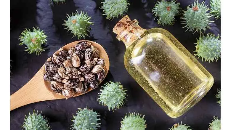 Arkema castor oil beans