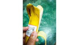 Image of a new, compostable HERMA self-adhesive label on a banana