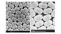 Short Course Polymer Image Image of Polymers