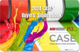CASE-eBook-2024-COVER.jpg