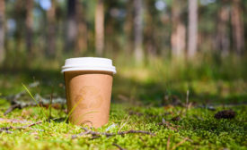 Coffee cup made of sustainable materials in forest