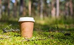 Coffee cup made of sustainable materials in forest