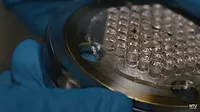 shape-memory polymers shape-memory polymers