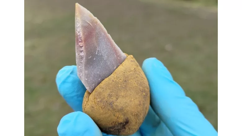 Image of Neanderthal tool constructed with glue