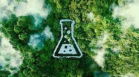 A beaker in the middle of a forest