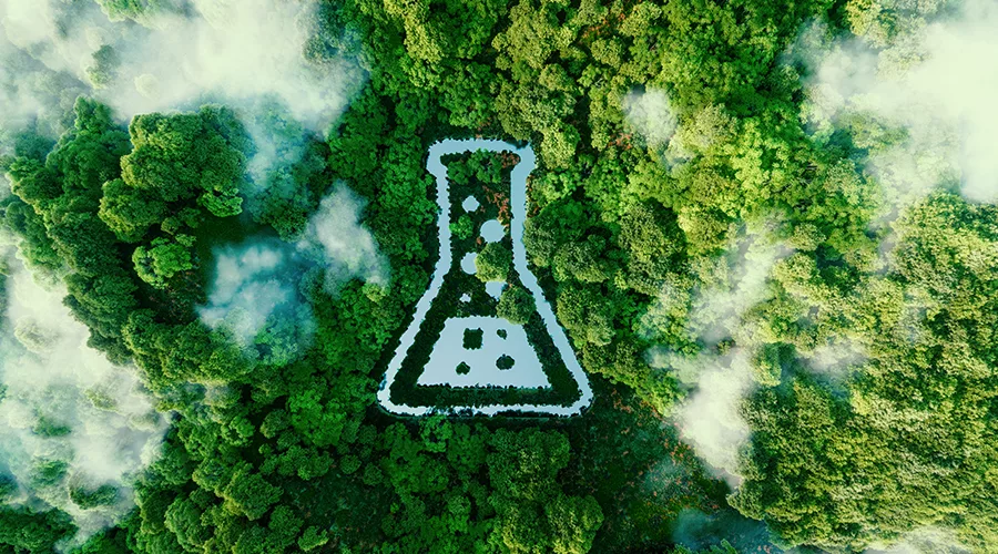 A beaker in the middle of a forest