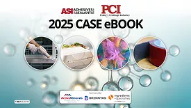2025 CASE eBook