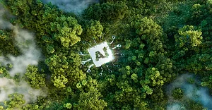 An aerial view of a square with the letters AI surrounded by trees.