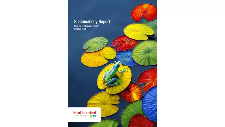 Picture of a colorful report cover
