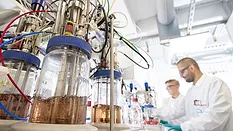 Picture of a scientist in a lab 