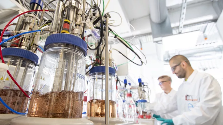Picture of a scientist in a lab