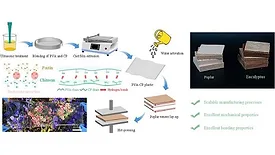 Picture of the process used to create the bioadhesive film
