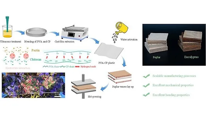 Picture of the process used to create the bioadhesive film