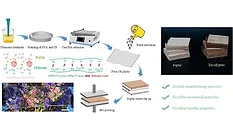 Picture of the process used to create the bioadhesive film