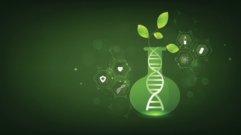 sustainable chemistry