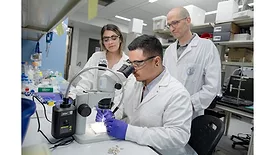 Picture of a scientist looking through a microscope