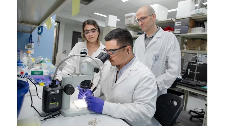 Picture of a scientist looking through a microscope