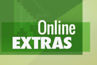 asi online extra green graphic