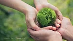 Image of hands holding green globe