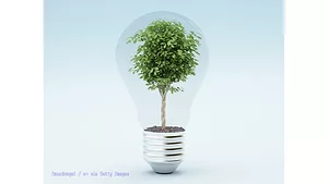 Image of green tree within clear lightbulb Image of green tree within clear lightbulb