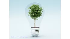 Image of green tree within clear lightbulb