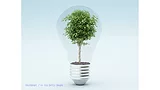 Image of green tree within clear lightbulb