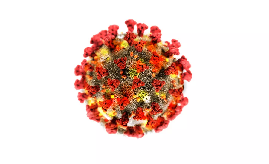 COVID-19 coronavirus