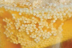 Carbon-negative bio-butanol production technology