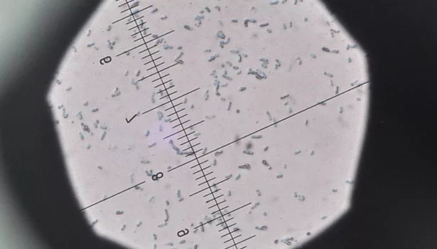 Carbon-negative bio-butanol production technology