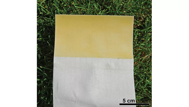 Reusable and Renewable Adhesive Mimics Geckos