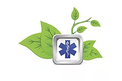 Better Health at Bargain Prices: Six Ways to Institute an Affordable Workplace Wellness Program