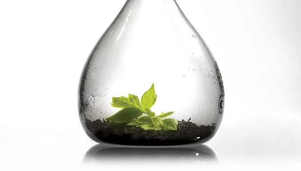 Carbon Dioxide-Based Polycarbonate Polyols for Polyurethane Systems