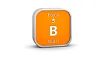 Boron and adhesives