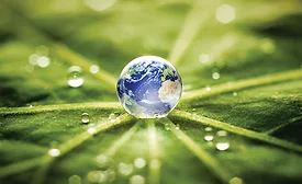 Pressure-sensitive adhesives offer the benefit of having low to no VOCs.