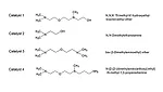 Formation and Determination of Aldehydes in Amine Catalysts