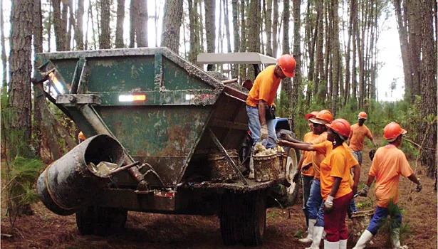 Sustainable Success for Adhesives and Sealants through Biorenewable Feedstocks