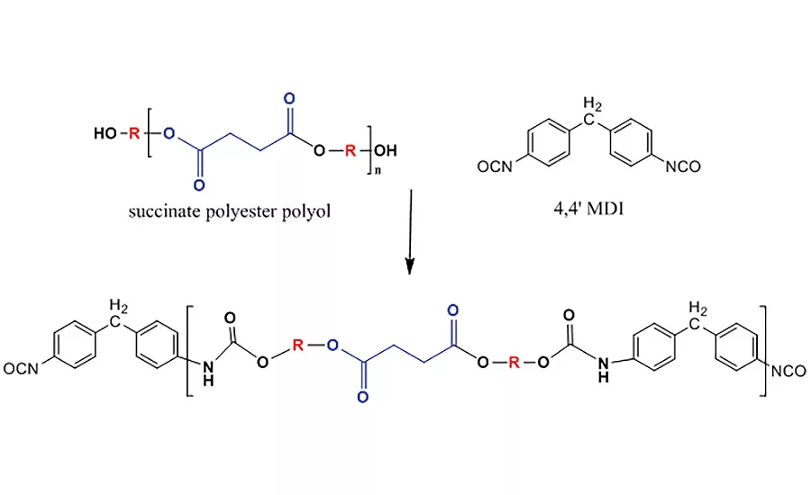 Advancing Adhesives: Bio-Based Succinic Acid Polyester Polyols