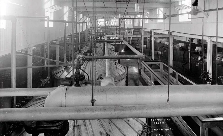 Bio-Based Feedstocks for Adhesives and Sealants: Everything Old is New Again