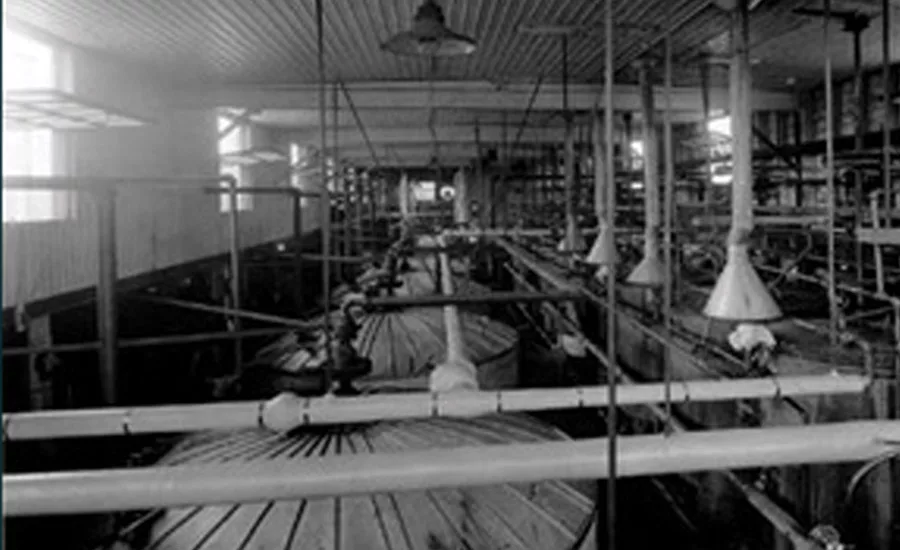 Bio-Based Feedstocks for Adhesives and Sealants: Everything Old is New Again