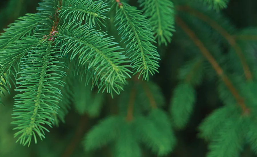 Top 5 Trends in Enterprise Labeling for 2016