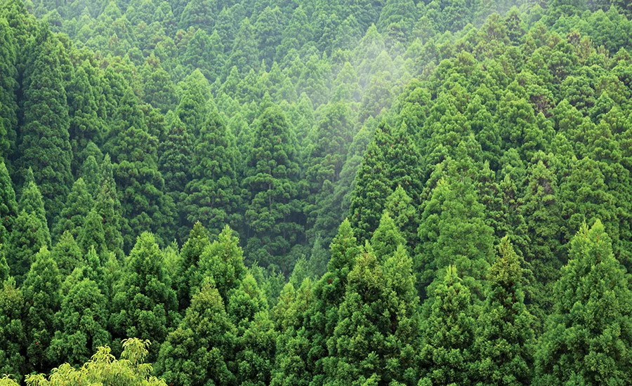 Top 5 Trends in Enterprise Labeling for 2016